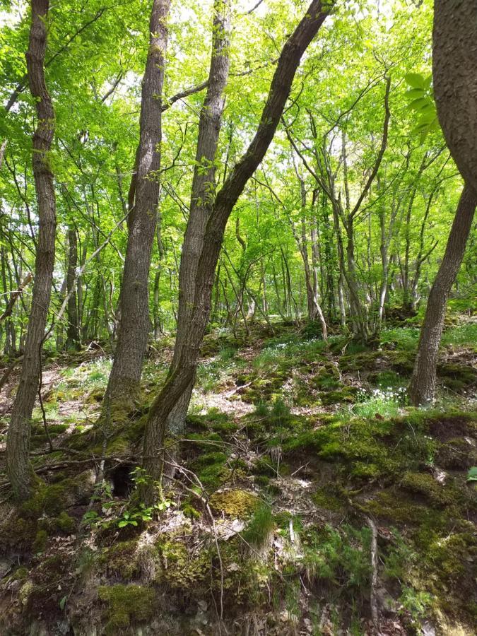 Eifelverweiler Weiler  Dış mekan fotoğraf