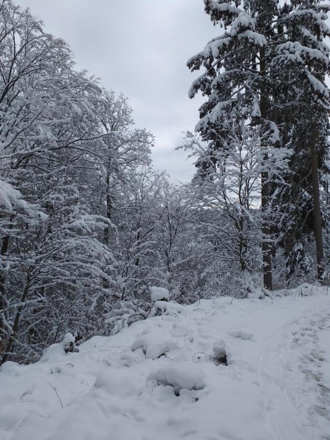 Eifelverweiler Weiler  Dış mekan fotoğraf